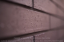 SIGMA_35_14_D800E-1.jpg