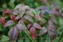 SIGMA_35_14_D800E-7.jpg