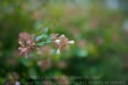 SIGMA_35_14_D800E-9.jpg
