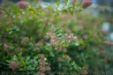 SIGMA_35_14_D800E-10.jpg