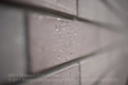 DISTAGON_T_14_50_ZF2_CZ-3.jpg