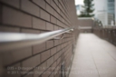 DISTAGON_T_14_50_ZF2_CZ-4.jpg